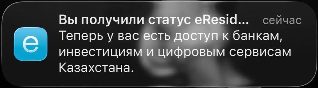 Я стал цифровым казахом за $120.