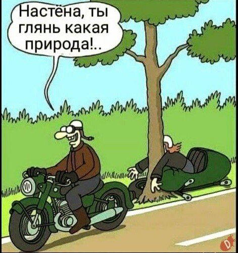 Дички дички дичульки