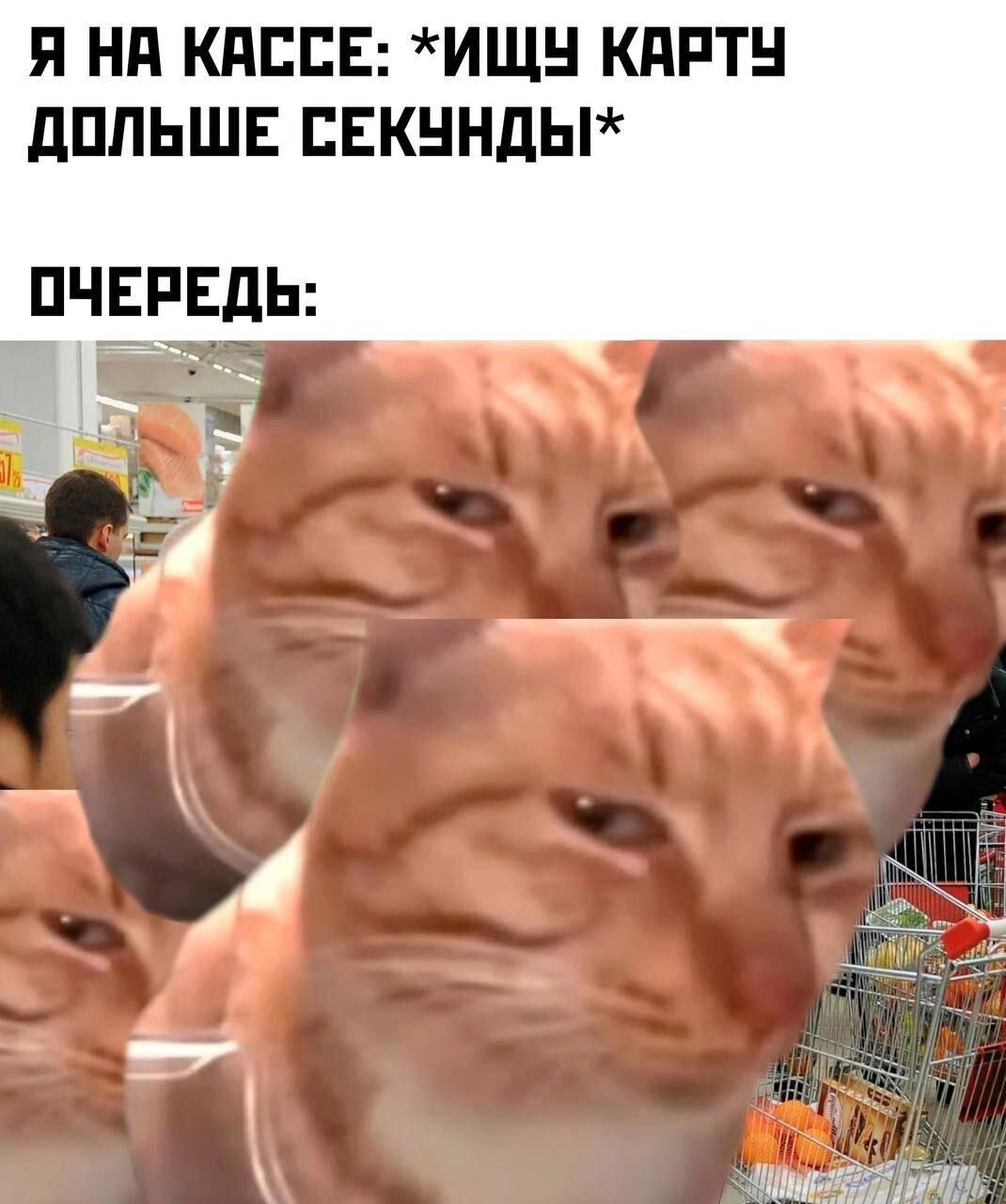 Дички дички дичульки