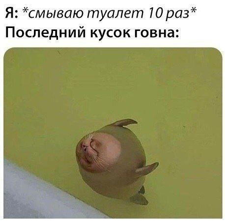 Дички дички дичульки