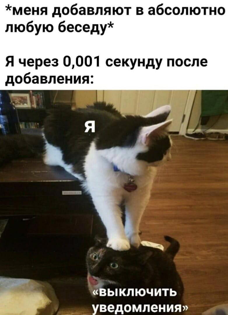 Дички дички дичульки