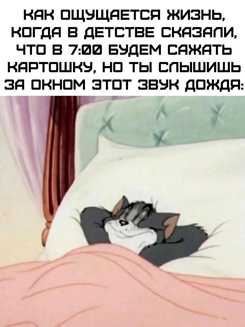 Дички дички дичульки