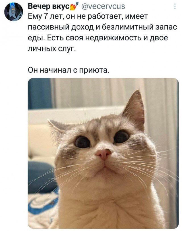 Дичкин нюх