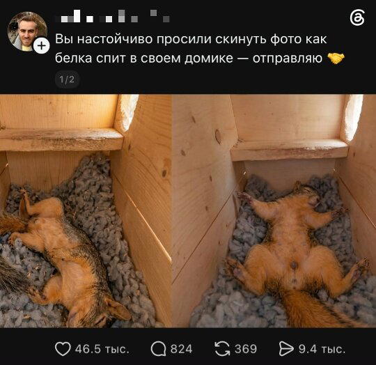Дичкин нюх