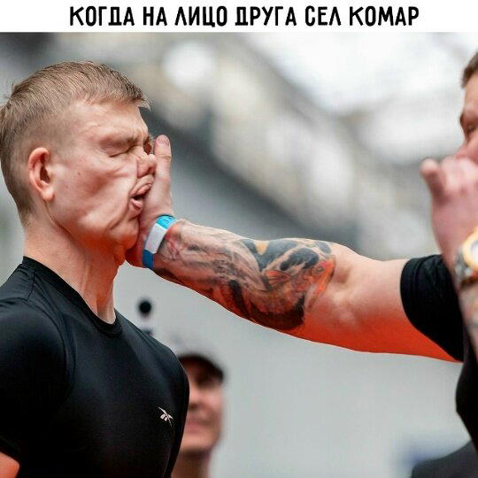 Дичкин нюх