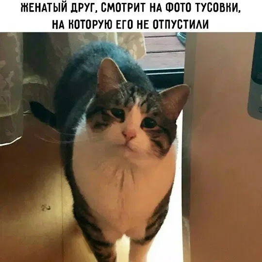 Дичкин нюх