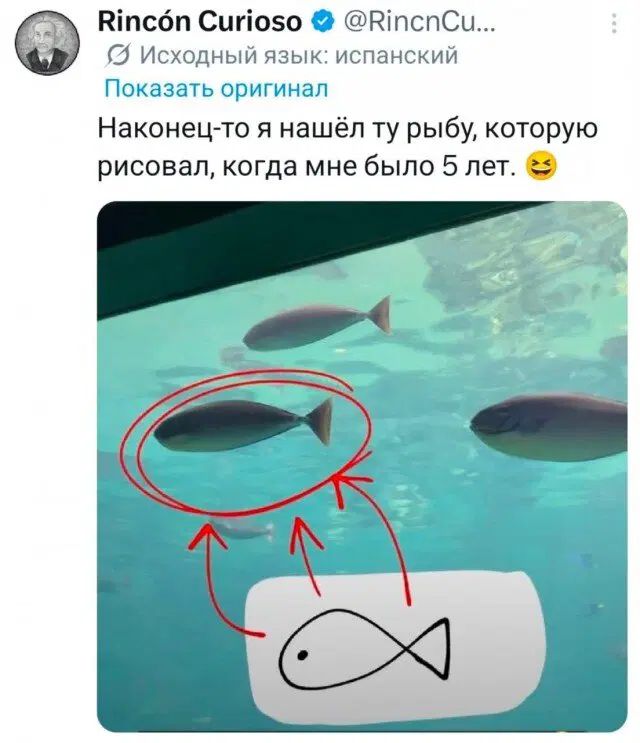 Дичкин нюх
