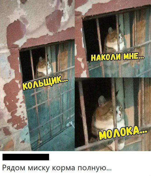 Иногда дичка на ночь лучше водки
