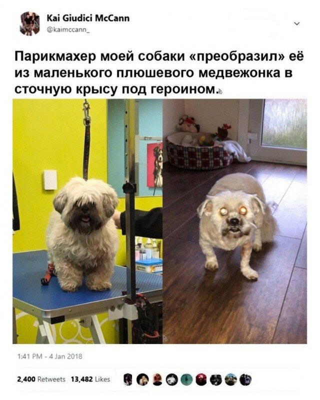 Иногда дичка на ночь лучше водки