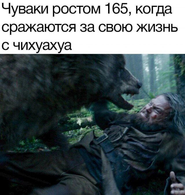 Иногда дичка на ночь лучше водки