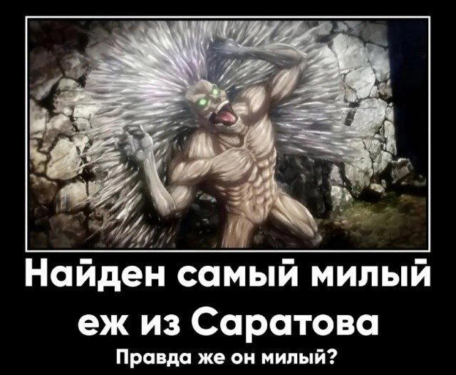 Иногда дичка на ночь лучше водки