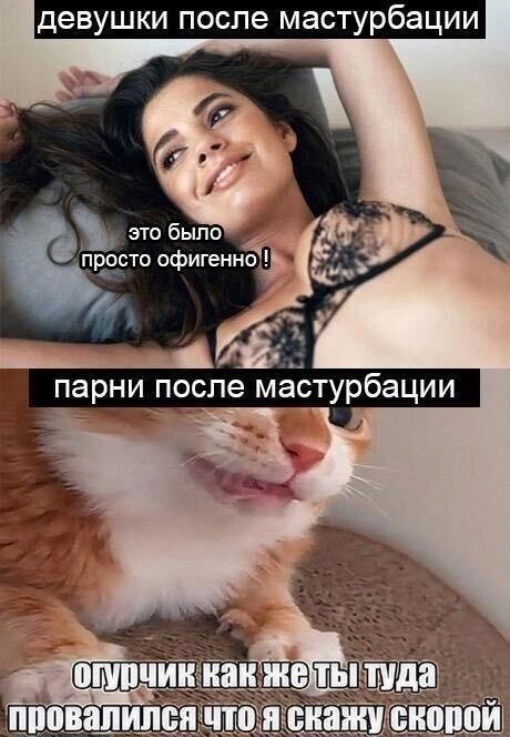 Иногда дичка на ночь лучше водки