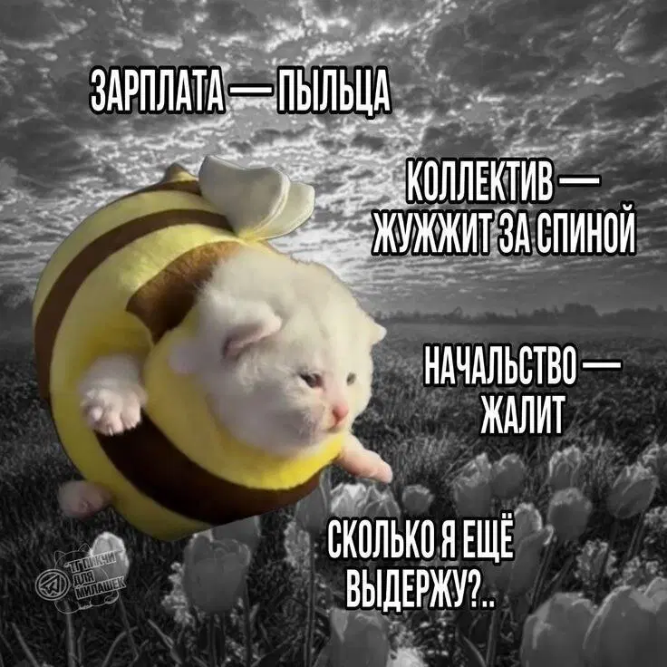 Иногда дичка на ночь лучше водки