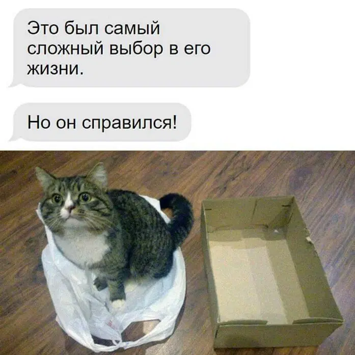 Иногда дичка на ночь лучше водки