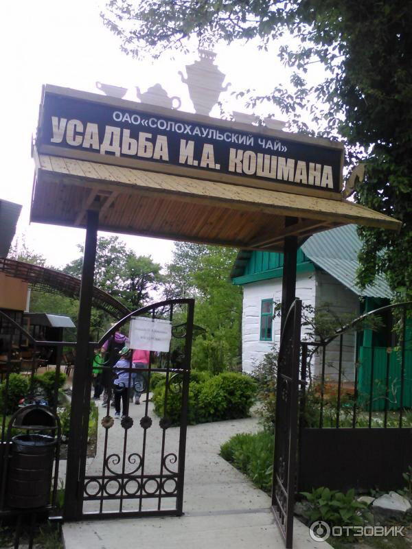 Присядь друг, идет ивент, выпей чаю.