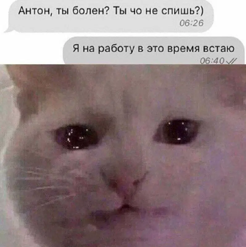 Дичка как солнышко, сегодня ласковое