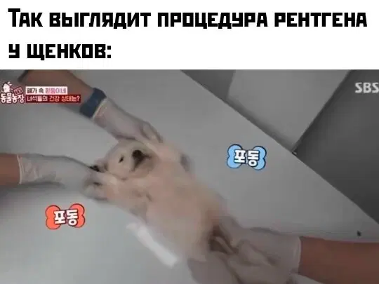 Дичка как солнышко, сегодня ласковое