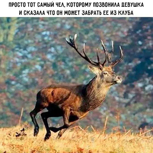 Дичка как солнышко, сегодня ласковое