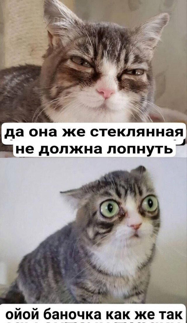 Дичка как солнышко, сегодня ласковое