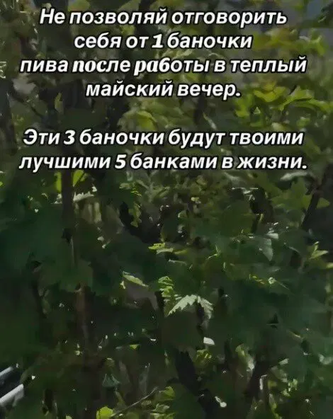 Дичка как солнышко, сегодня ласковое