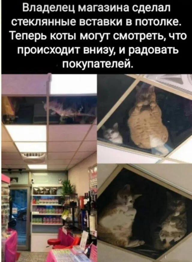 Дичка как солнышко, сегодня ласковое