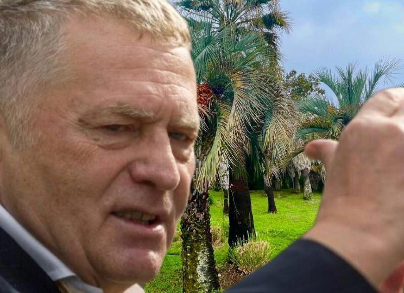 Сочи и дичи )))