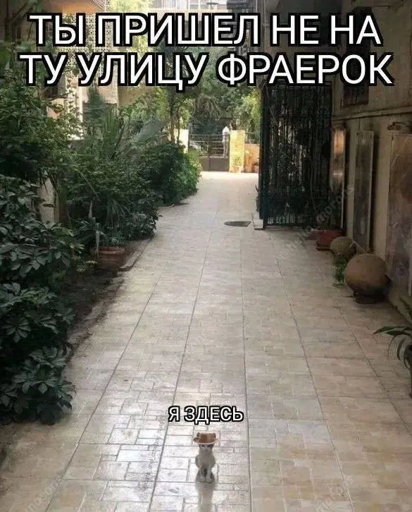 Дичкин запах пятницы