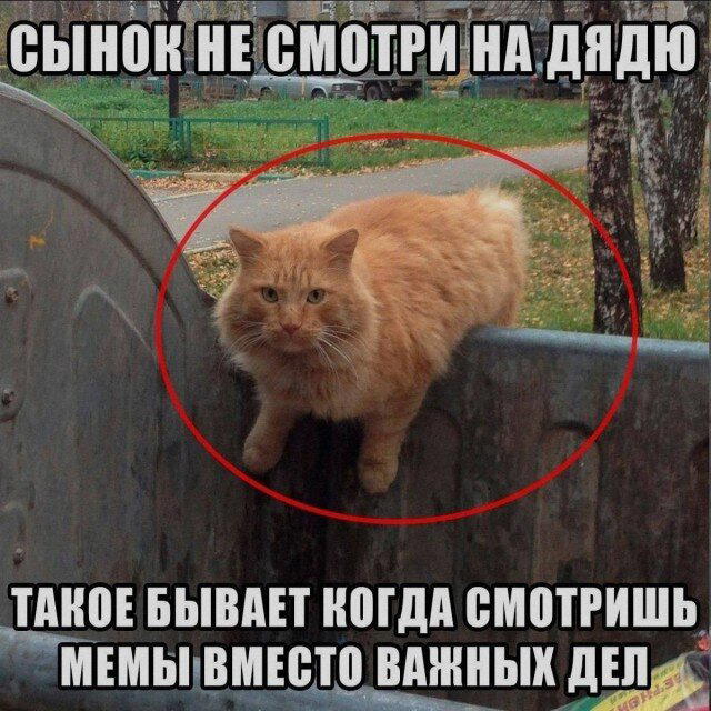 Дичкин запах пятницы