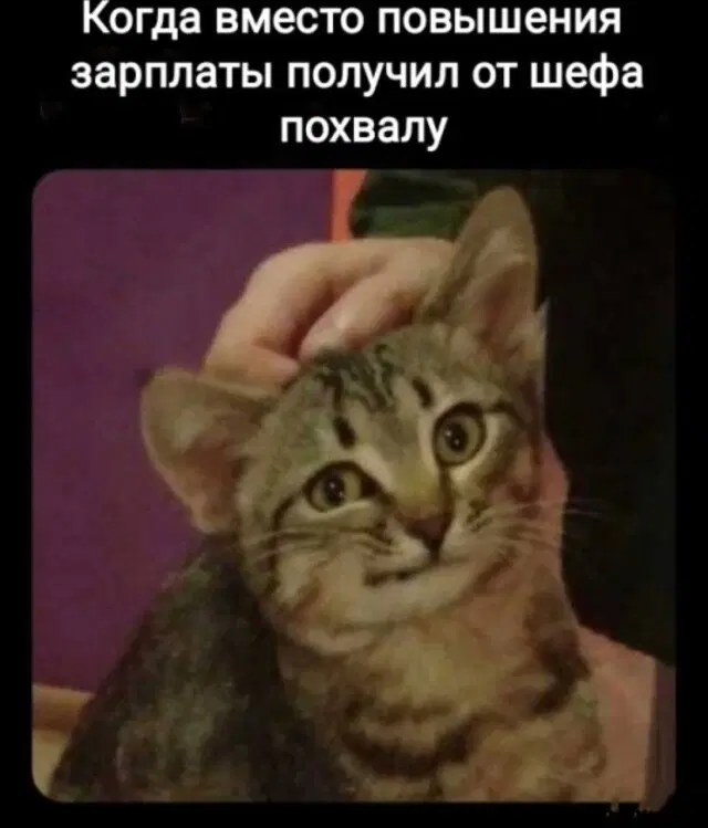 Дичкин запах пятницы