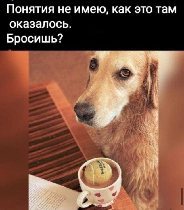 Дичкин запах пятницы