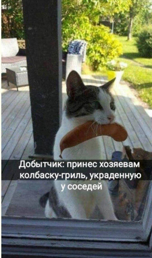 Дичкин запах пятницы