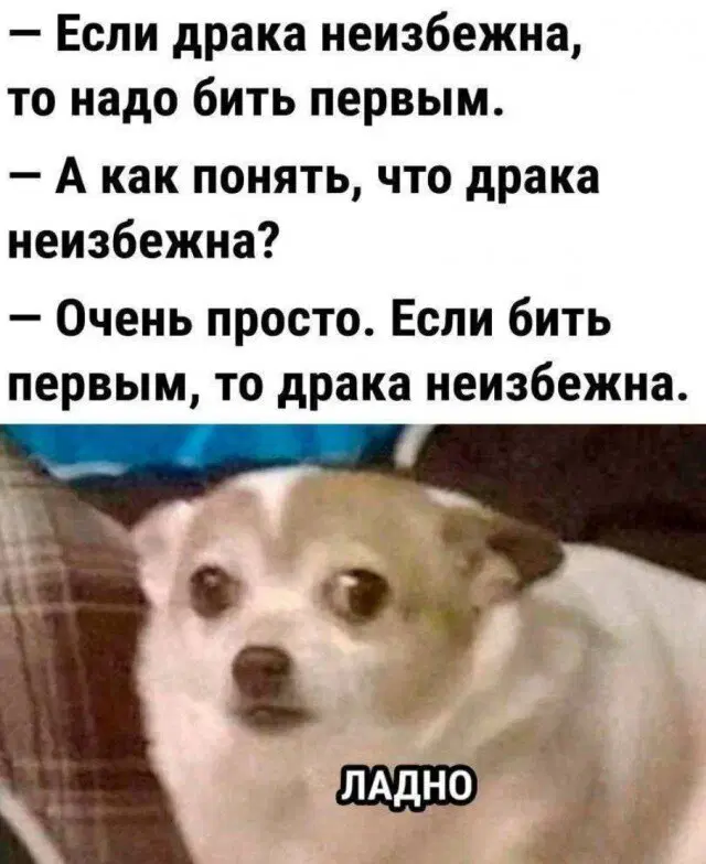 Улыбнись дичке и она улыбнется в ответ