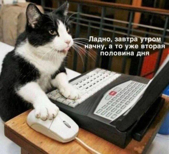 Улыбнись дичке и она улыбнется в ответ