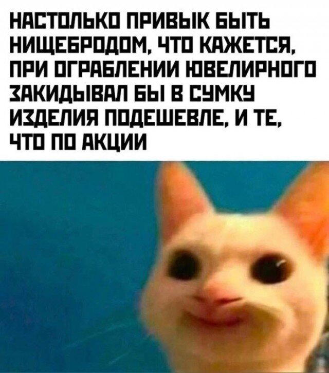 Улыбнись дичке и она улыбнется в ответ