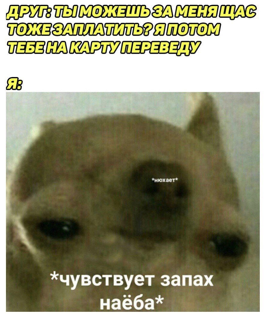 Улыбнись дичке и она улыбнется в ответ