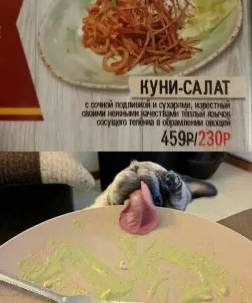 Открыл глаза а дичка уже рядом
