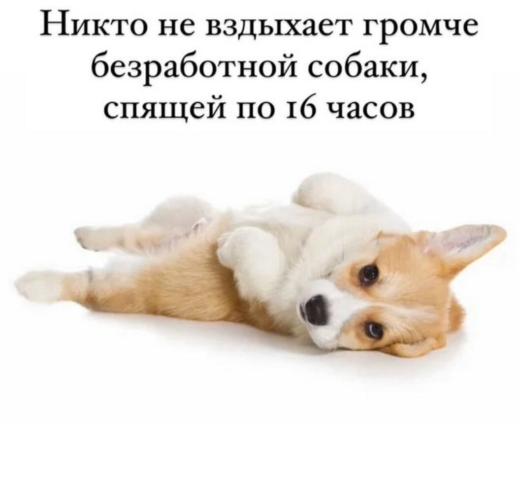 Открыл глаза а дичка уже рядом
