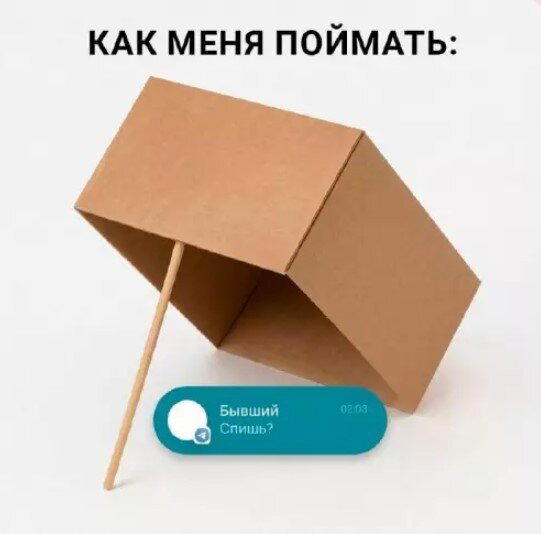 Открыл глаза а дичка уже рядом