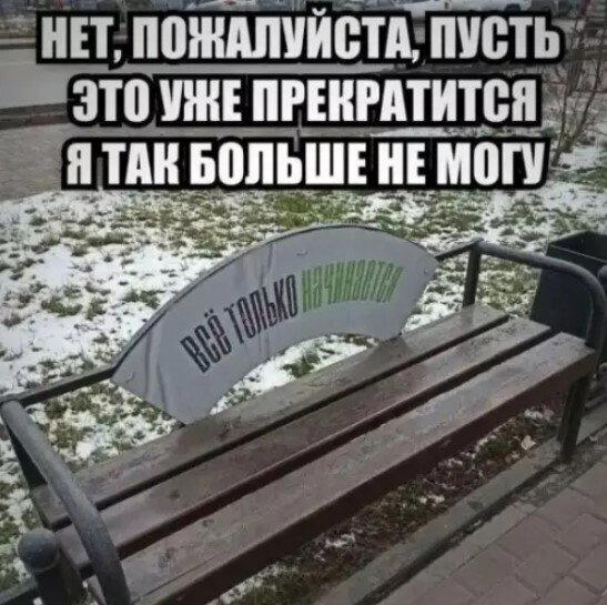 Открыл глаза а дичка уже рядом