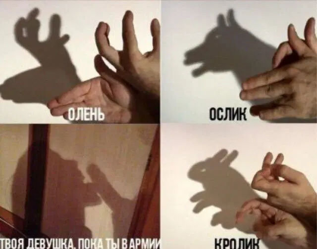 Открыл глаза а дичка уже рядом