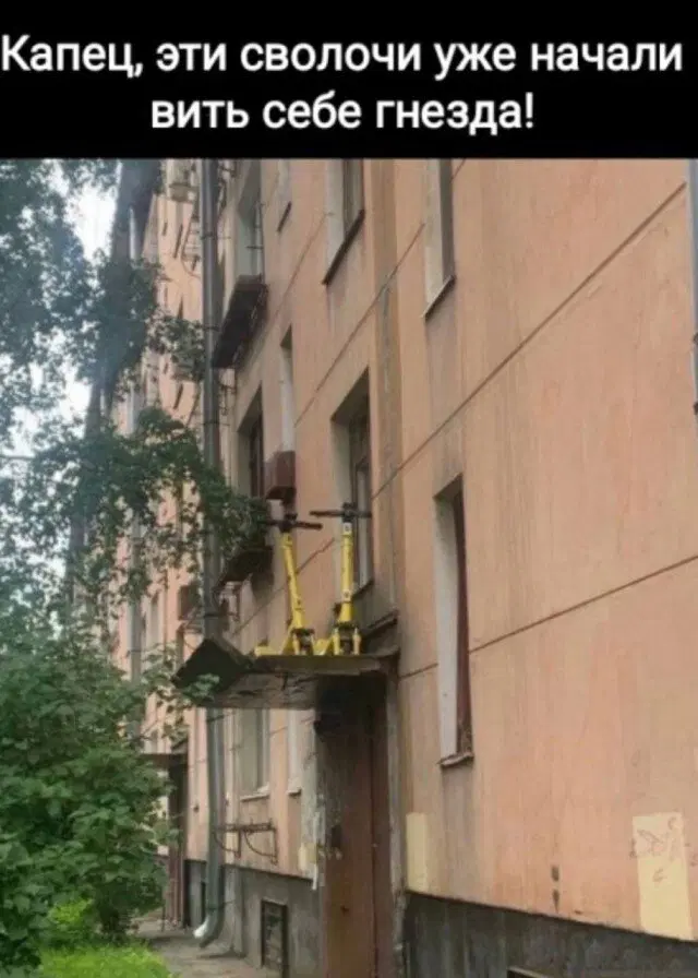 Дички с похмелья Много не бывает