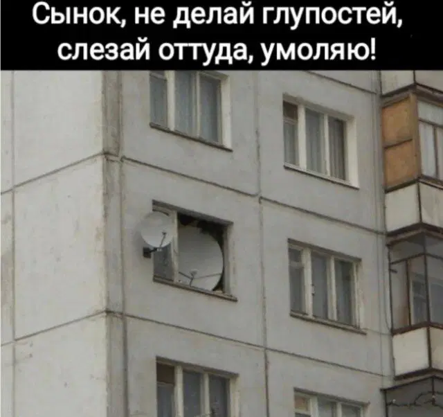 Дички с похмелья Много не бывает