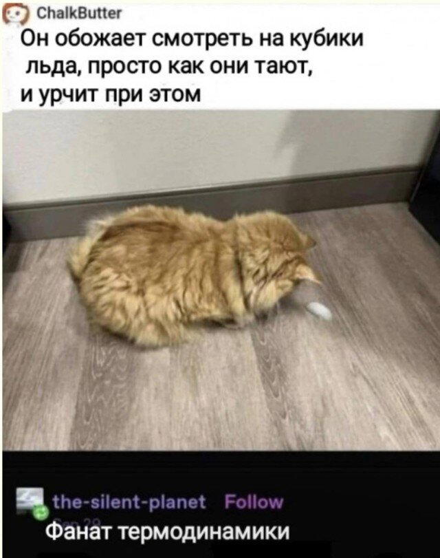 Дички с похмелья Много не бывает