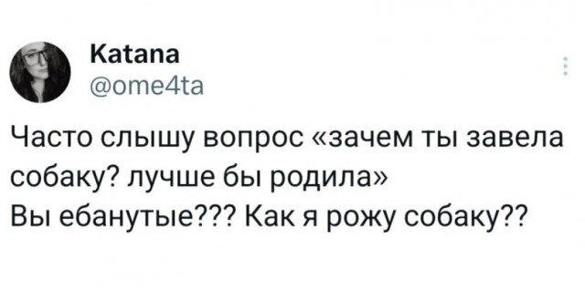 Дички с похмелья Много не бывает