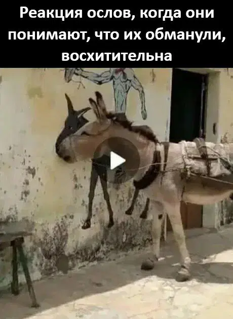 Дички с похмелья Много не бывает