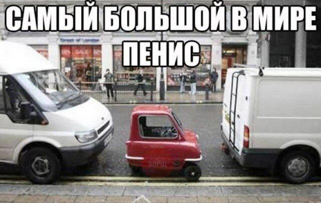 Дички с похмелья Много не бывает