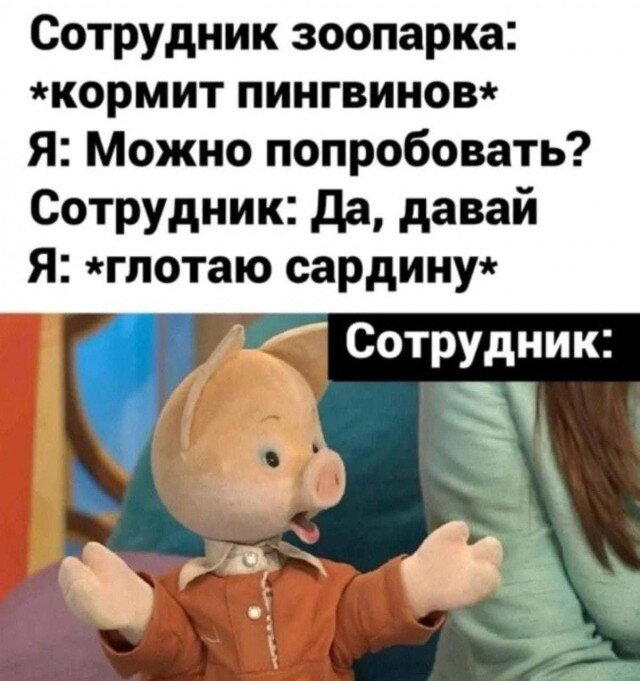 Дички с похмелья Много не бывает