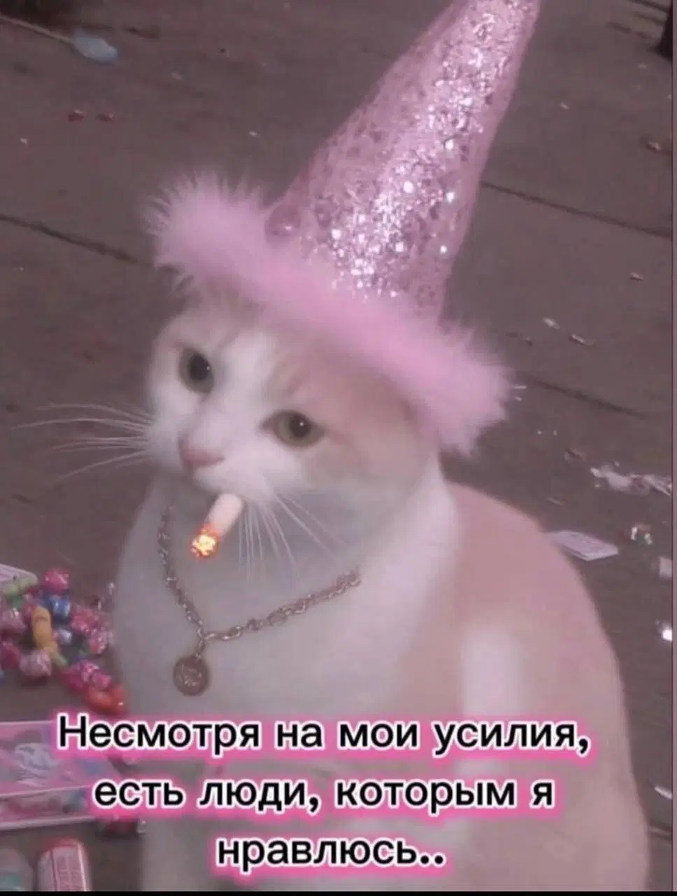 Дички на веселую недельку