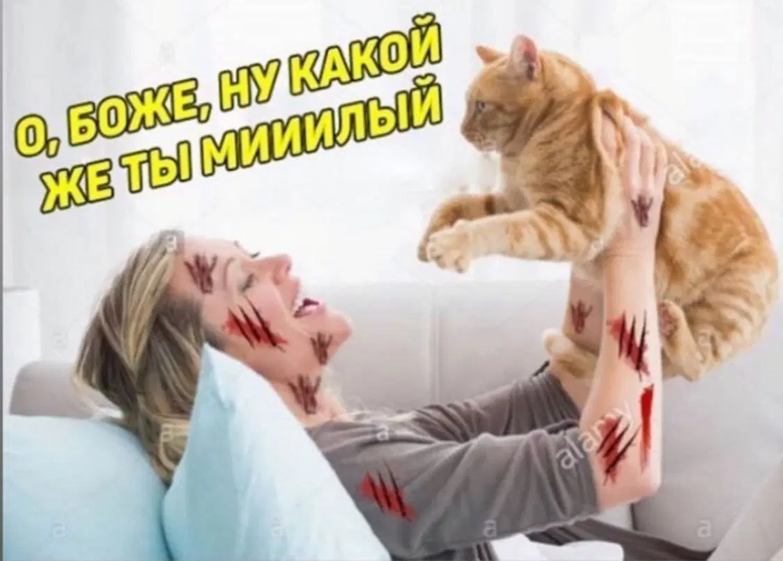 Дички на веселую недельку
