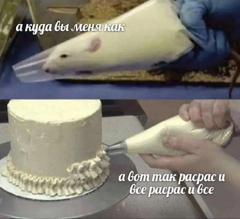 Дички на веселую недельку
